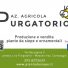 AZ. AGRICOLA PURGATORIO