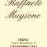 GEOMETRA RAFFAELE MUGIONE 