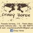 CRAZY HORSE
