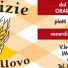 LE DELIZIE PASTA ALL'UOVO