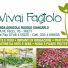 VIVAI FAGIOLO