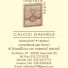 CALOSI DANIELE