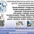 CLINICA VETERINARIA FIRENZE SUD