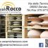 PICCOLO ROCCO