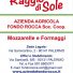RAGGIO DI SOLE