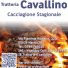 TRATTORIA CAVALLINO