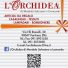 L'ORCHIDEA