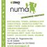 NUMA GYM BODY CLUB