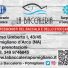LA BACCALERIA
