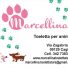 MARCELLINA