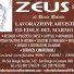 ZEUS 