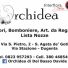 ORCHIDEA