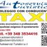 AUTO SERVIZI TURISTICI