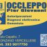 OCCLEPPO