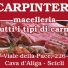 CARPINTERI