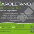 NAPOLETANO INFISSI