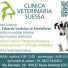 CLINICA VETERINARIA SUESSA
