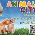 ANIMAL CITY