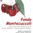 FONDO MONTECUCCOLI agriturismo