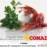 CONAD
