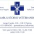 AMBULATORIO VETERINARIO