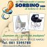 SORBINO sas