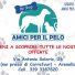 AMICI PER IL PELO
