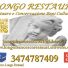 LONGO RESTAURI