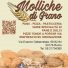 MOLLICHE DI GRANO