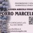 PORRO MARCELLO