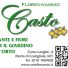 CASTO