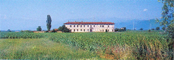 Cascina Fernesa