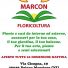 FLORICOLTURA MARCON