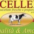 MACELLERIA QUALITA' E AMORE