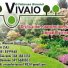 VIVAIO