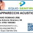 EQUO SENTIRE