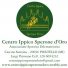 CENTRO IPPICO SPERONE D'ORO
