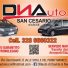 DNAUTO