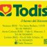 TODIS