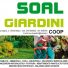 SOAL GIARDINI
