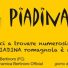 PIADINAMICA