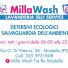 MILLA WASH