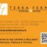 TERRA FERMA
