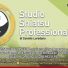 STUDIO SHIATSU PROFESSIONALE JIN MAI