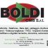 BOLDI