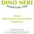 DINO NERI