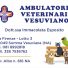 AMBULATORIO VETERINARIO VESUVIANO