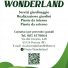 VIVAIO WONDERLAND