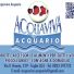 ACQUAVIVA ACQUARIO