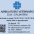 AMBULATORIO VETERINARIO DOTT. GALMARINI